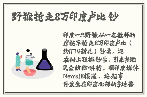国产精品一区二区在钱播放
